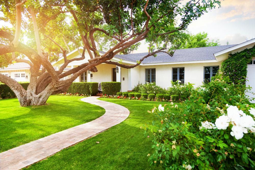 Healthy Lawn Tips for Homeowners