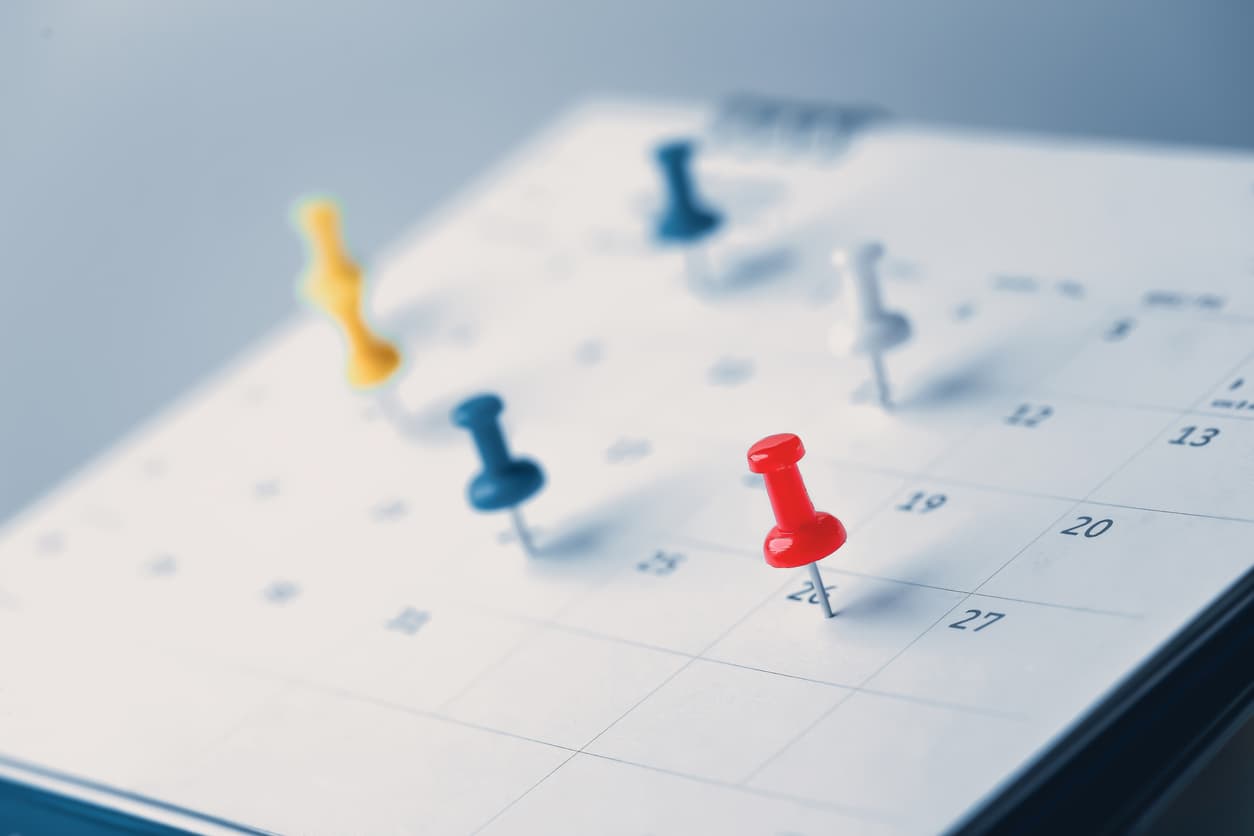 Four Seasonal Tips To Make 2025 the Year of No Pests