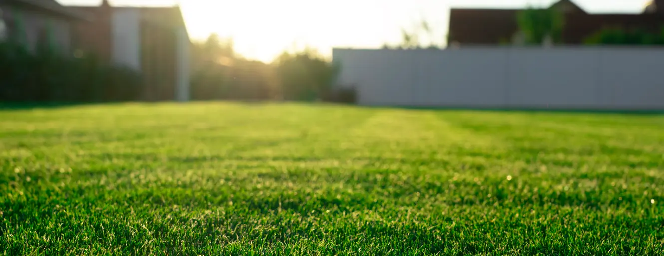 Lawn Services