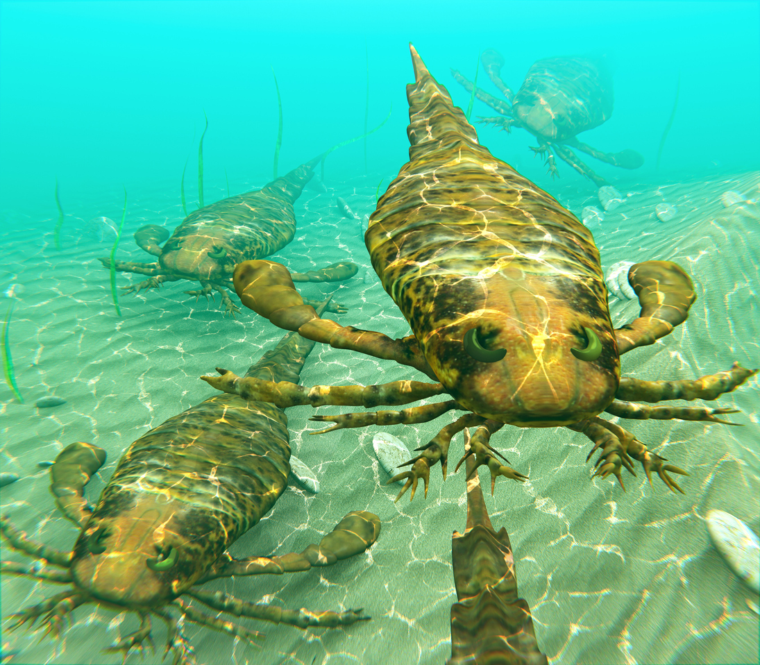 This menacing beast, eurypterus, closely resembles gaekelopterus.