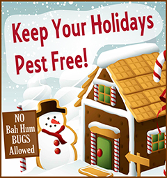 Keep Your Holidays Pest Free - No Bah Hum Bugs Allowed