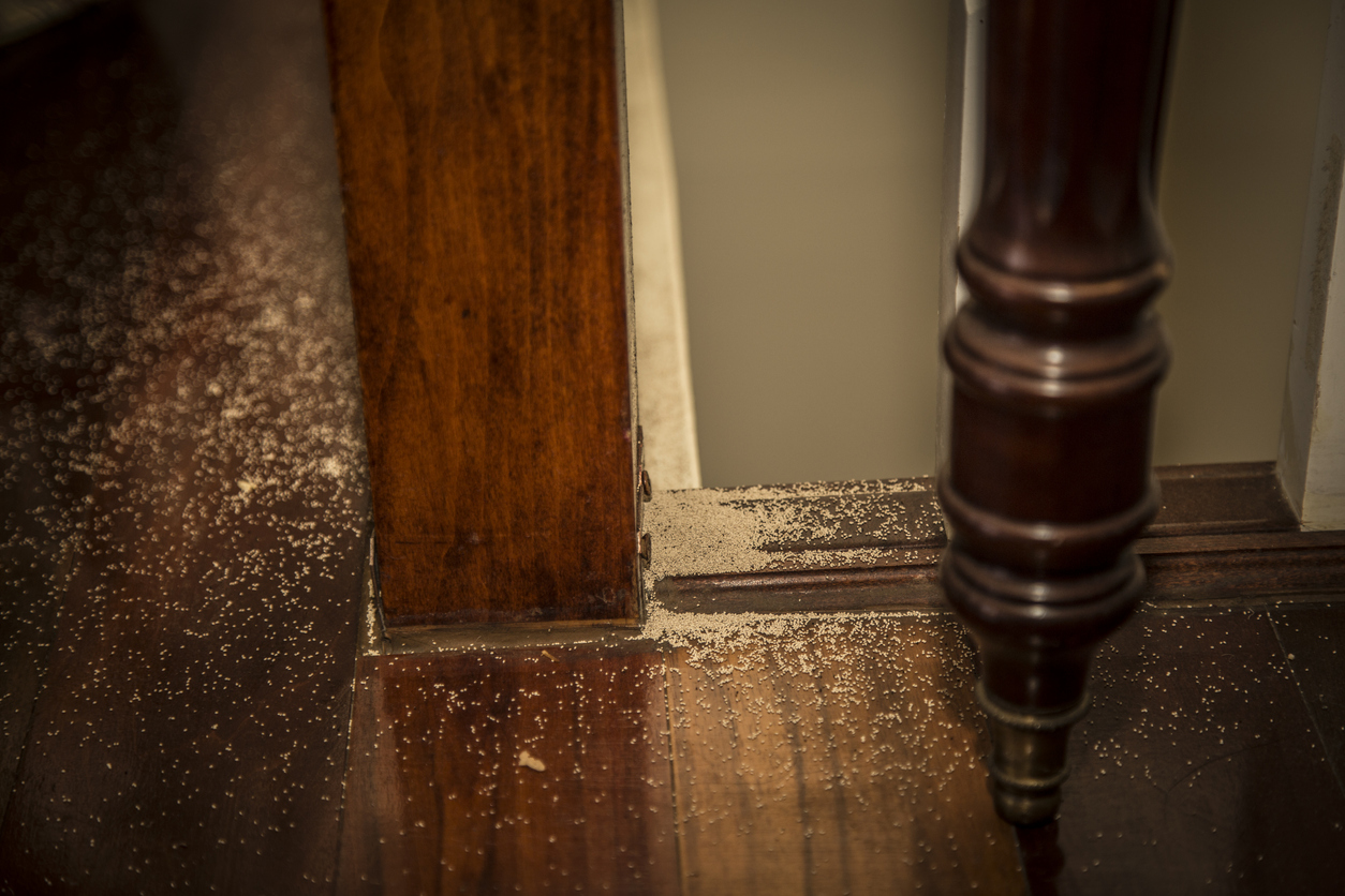 Termite droppings on a wood railing.