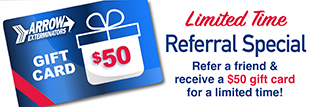 Refer a friend and Arrow will thank you with $50