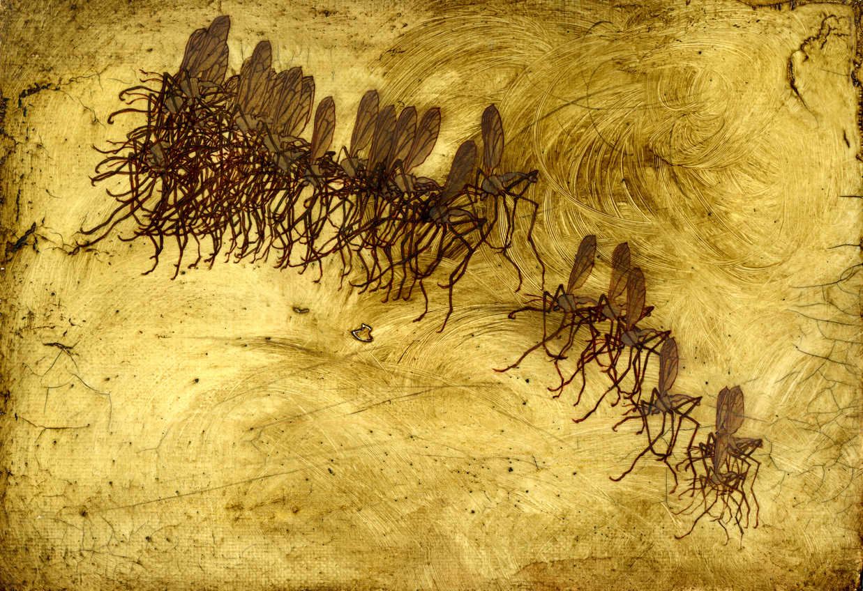 These Prehistoric Pests Will Haunt You: Supersized Pests
