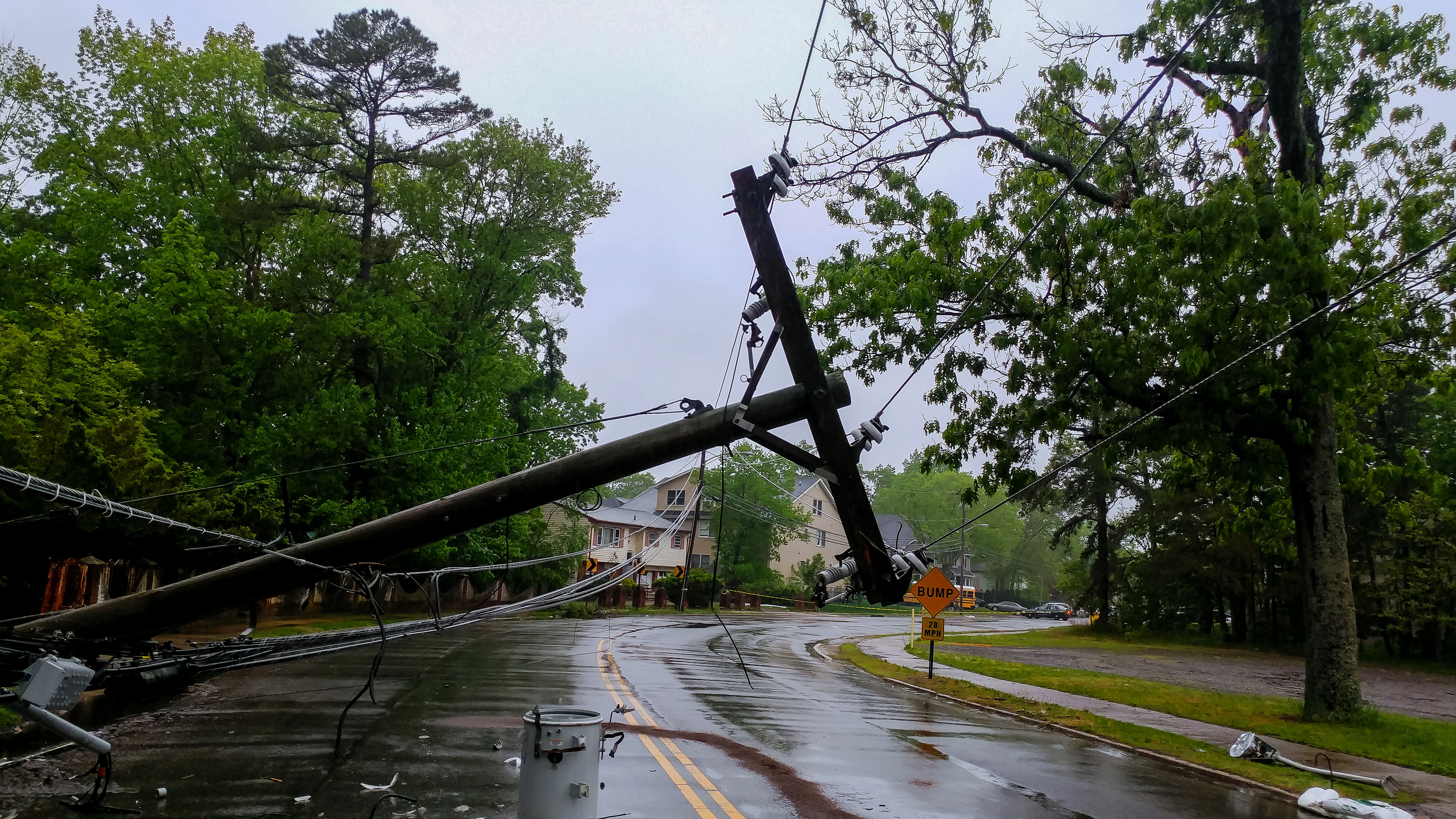 Severe Storm Pest Preparedness & Prevention Tips