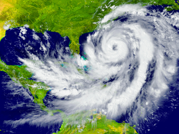 Hurricane Pest Preparedness Tips