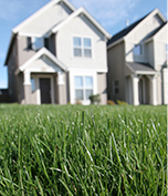 Lawn Care Services