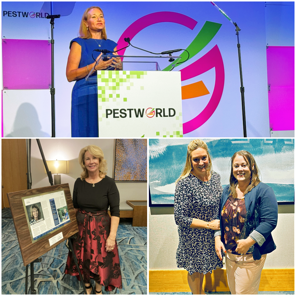 No alternative text available